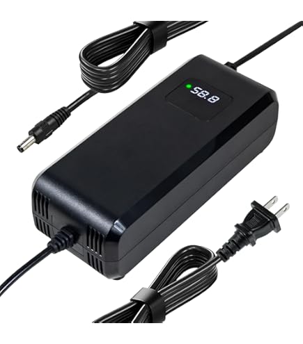 Amazon.com: YZPOWER 54.6V 4A Lithium Battery Charger for 48V 13s